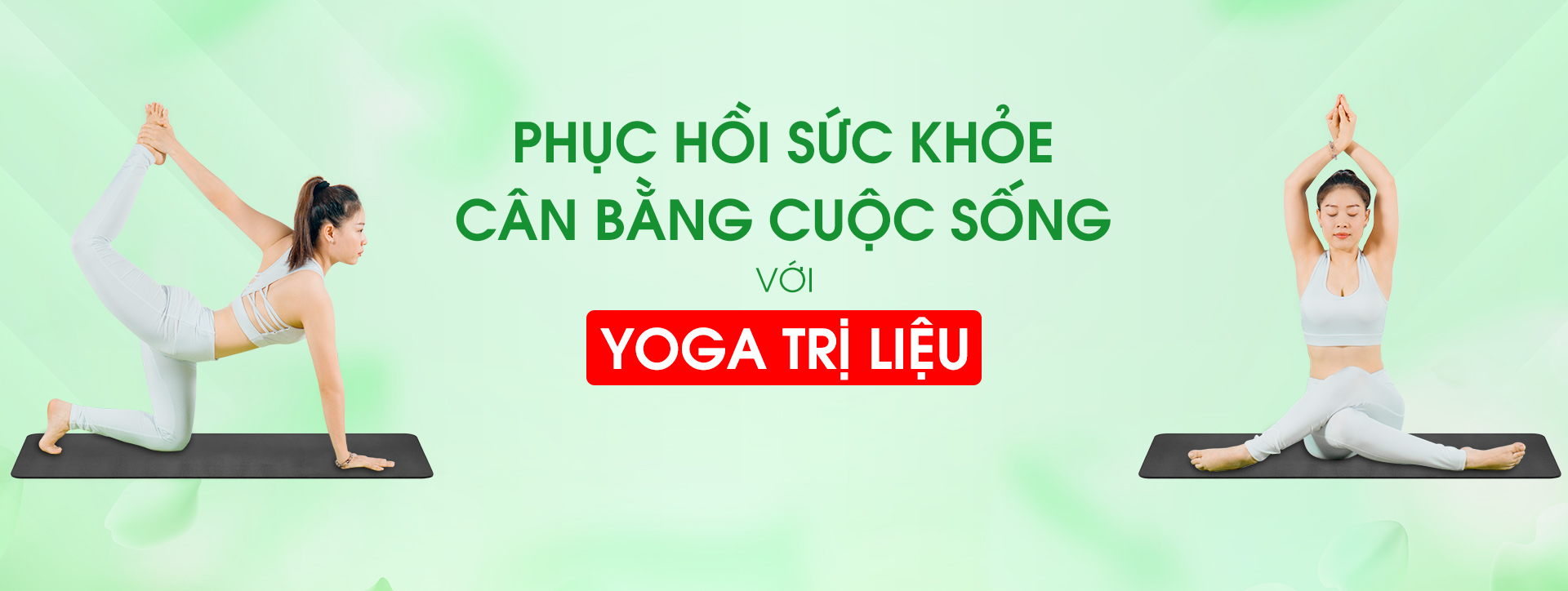 banner-yoga-6-benh-ly-co-ban