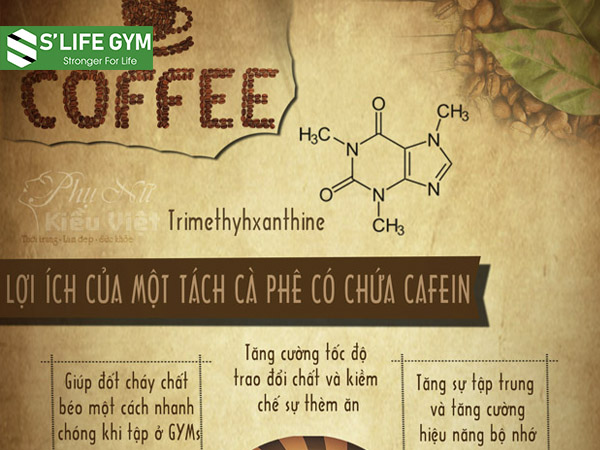 Giảm cân bằng cà phê hiệu quả vì hợp chất caffeine giúp tăng quá trình trao đổi chất khoảng 3 – 11%