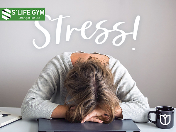 Giảm căng thẳng cũng là cách hạn chế thèm ăn, bạn đã thử chưa?