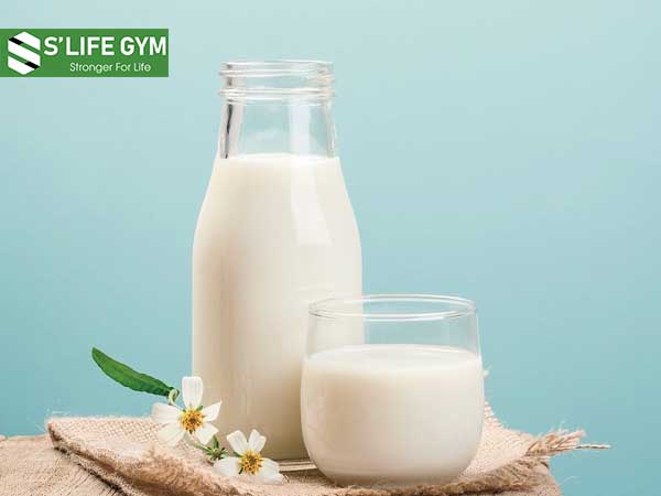 Sữa - một trong những thực phẩm giàu protein cho gymer
