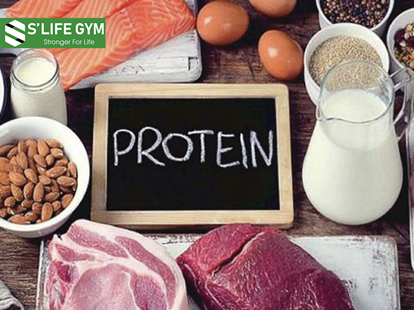 Protein là chất dinh dưỡng tốt nhất cho cơ bắp