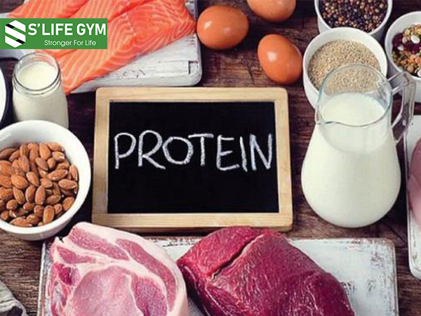 Thực phẩm giàu protein giúp cung cấp năng lượng cho cơ thể.