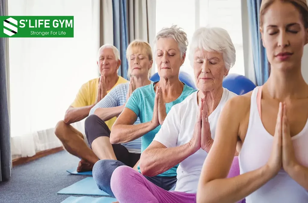 Bài Tập Thể Dục Dành Cho Người Cao Tuổi