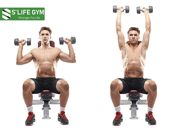 Bài tập đẩy tạ tay giúp phát triển cơ