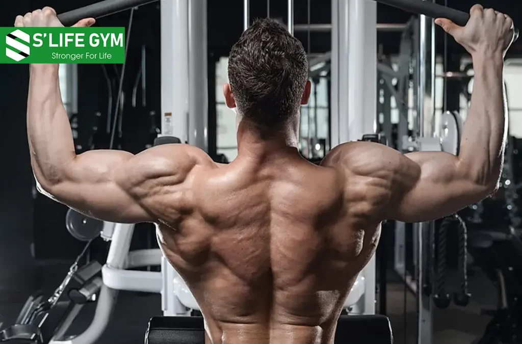 Những Bài Tập Giúp Cơ Vai Nở Rộng Dành Riêng Cho Nam Giới