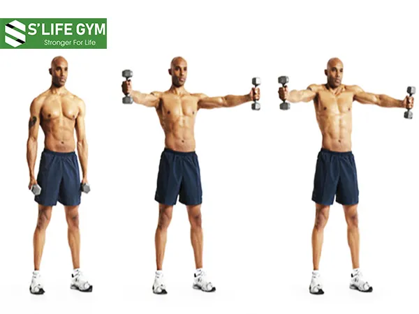 Cơ vai săn chắc nhờ tạ nhún vai