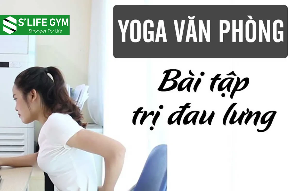 Bỏ Túi Bài Tập Yoga Chữa Đau Lưng Cho Nhân Viên Văn Phòng