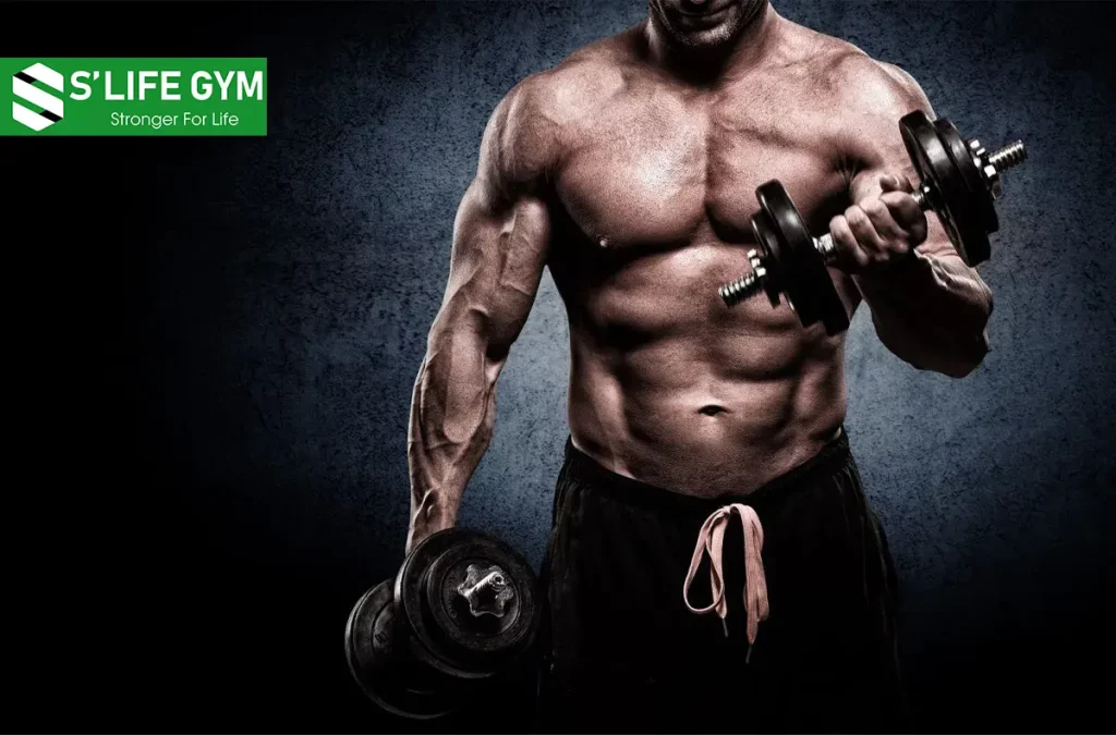 Cách Tập Gym Giảm Cân Dành Cho Nam