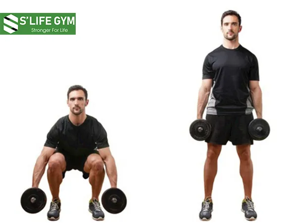 Chăm chỉ luyện tập đánh bay mỡ thừa nhanh chóng