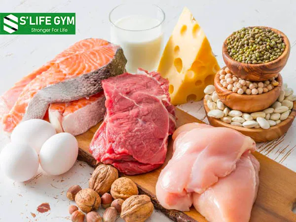 Chất đạm từ thịt, cá