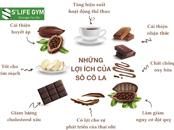 Những nghiên cứu dinh dưỡng gần đây đã chứng minh được lợi ích của chocolate đen đối với cơ thể