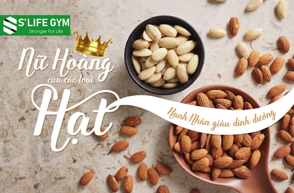 Công Dụng Của Hạt Hạnh Nhân Tốt Cho Sức Khỏe Và Sắc Đẹp