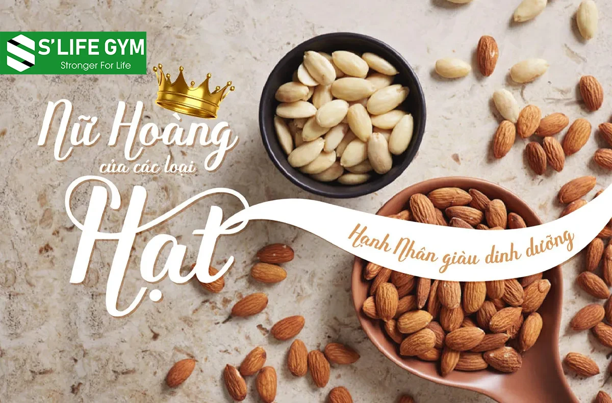 Công Dụng Của Hạt Hạnh Nhân Tốt Cho Sức Khỏe Và Sắc Đẹp