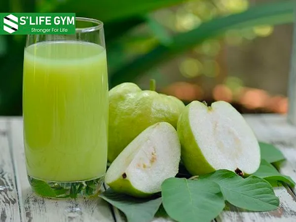 Ăn ổi thường xuyên và đúng cách có tác dụng tăng cường hệ thống miễn dịch