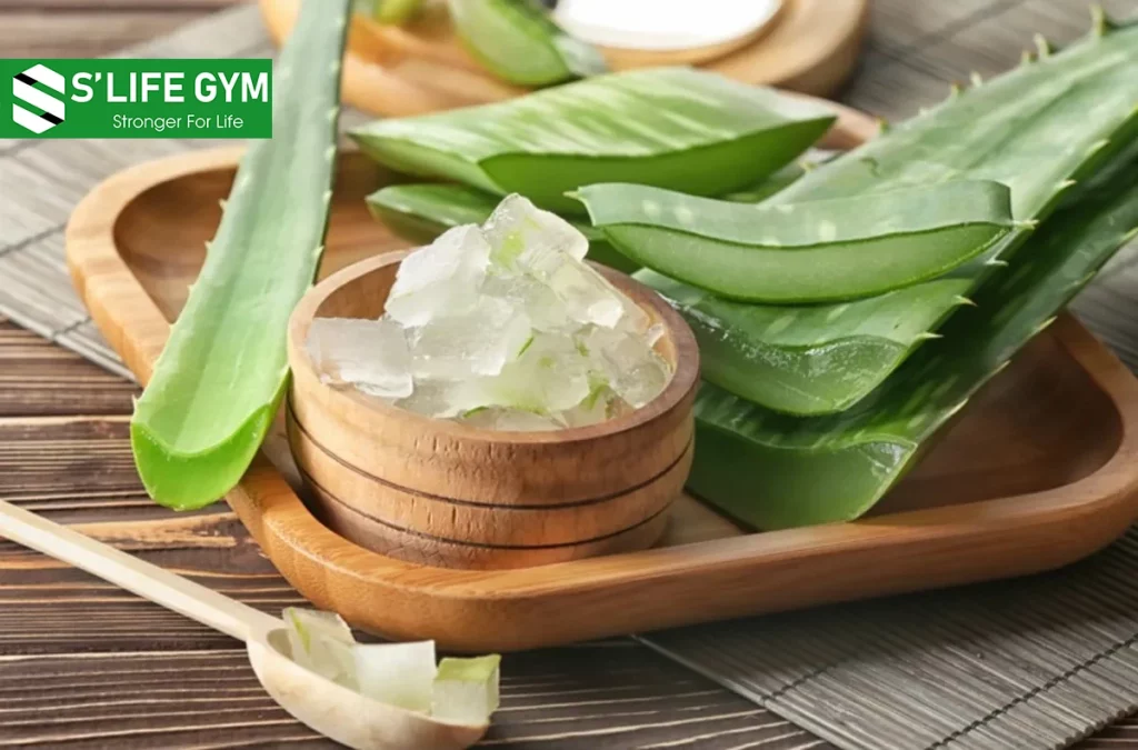 Công Dụng Của Nha Đam (Lô Hội) Giúp Thanh Nhiệt, Giải Độc