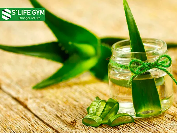 Nước ép nha đam chứa nhiều dinh dưỡng giúp tăng hoạt động của các cơ quan trong cơ thể