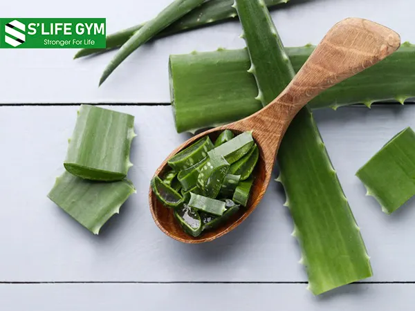 Nước ép nha đam giúp cải thiện tình trạng rối loạn ruột kích thích