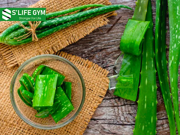 Nha đam chứa nhiều axit béo và axit amin