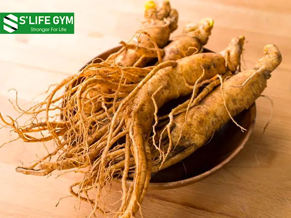 Nhân sâm tươi giúp tăng cường sức khỏe