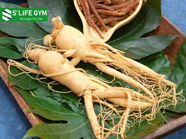 Nhân sâm được xem như thần dược để giảm Stress