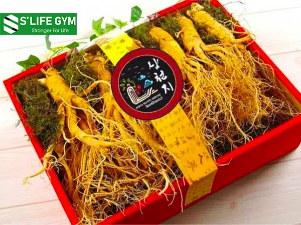 Nhân sâm giúp cải thiện những rối loạn chuyển hoá