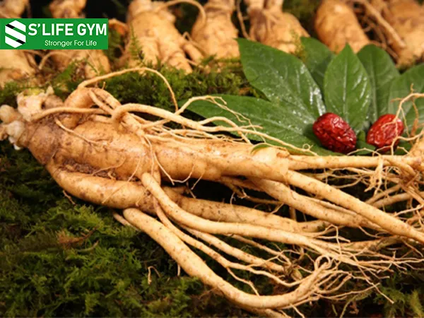 Sử dụng nhân sâm làm chậm lại quá trình tăng trưởng của tế bào ung thư