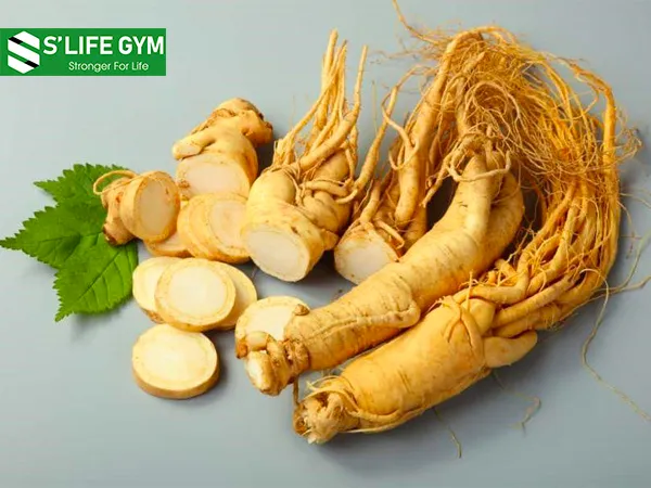 Nhân sâm nâng cao sức đề kháng của cơ thể