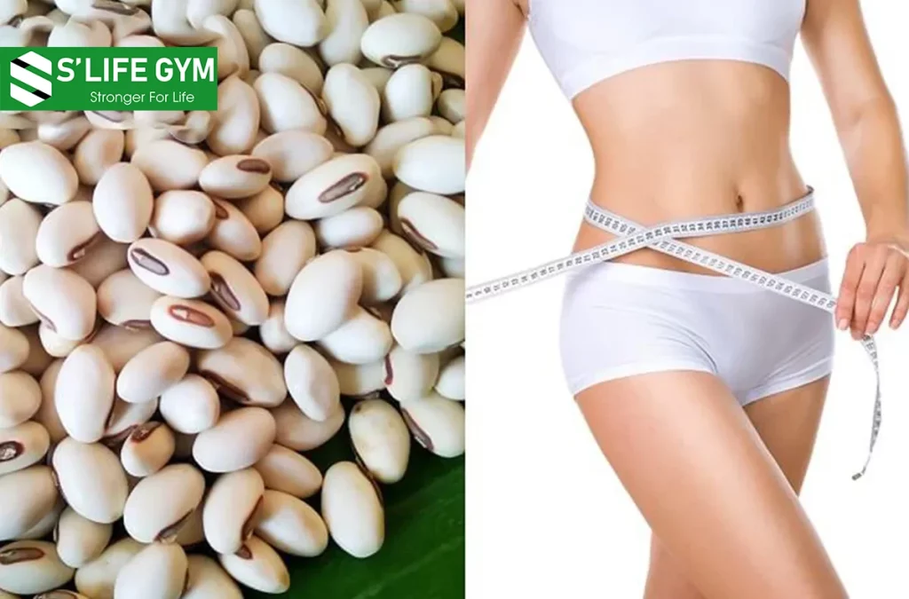 Đậu Trắng Giúp Giảm Cân, Có Thể Bạn Chưa Biết?