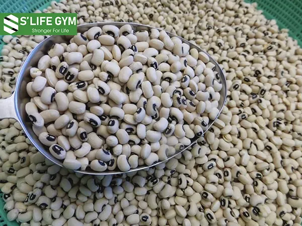 Đậu trắng giúp kiểm soát lượng máu