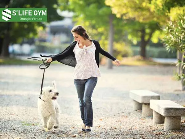 Hãy dắt chú cún của bạn đi dạo vào cuối tuần Hãy dắt chú cún của bạn đi dạo vào cuối tuần