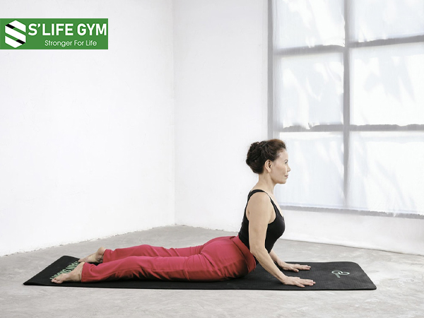 Tư thế yoga tan mỡ bụng này giúp cơ thể tăng cường sự dẻo dai của cột sống