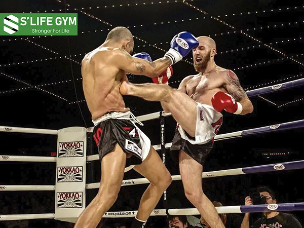 Động tác Kick-Boxing được ưa thích: Front Push (Front Kick)