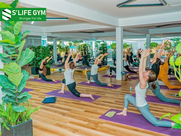 Không gian cây xanh thoáng mát