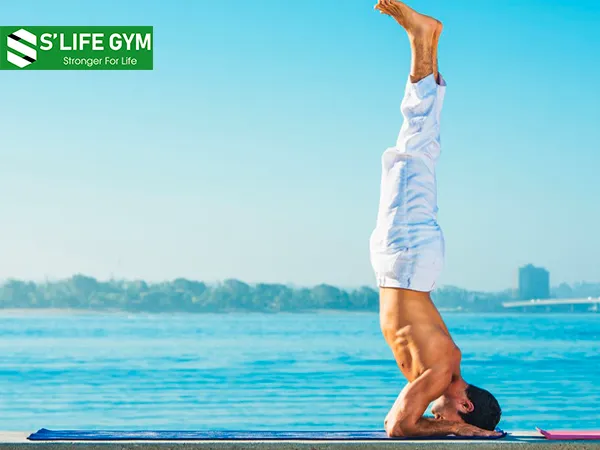 Lợi ích của tư thế headstand giúp kích thích sự tập trung