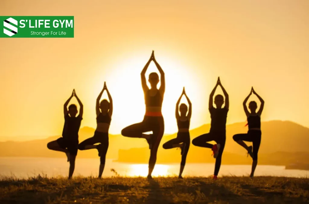 Giải Đáp Các Thắc Mắc Về Các Thuật Ngữ Yoga, Bạn Chưa Biết