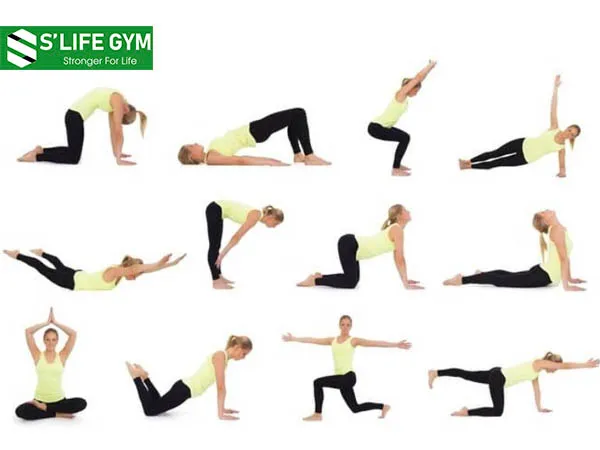 Thuật ngữ YOGA, YOGI VÀ YOGINI