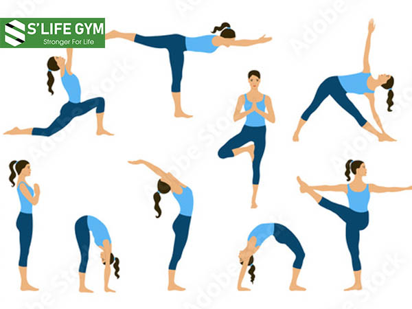 Những bài tập yoga tan mỡ bụng giúp cơ thẻ dẻo dai hơn