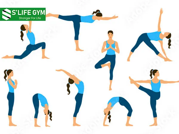 Những bài tập yoga tan mỡ bụng giúp cơ thẻ dẻo dai hơn