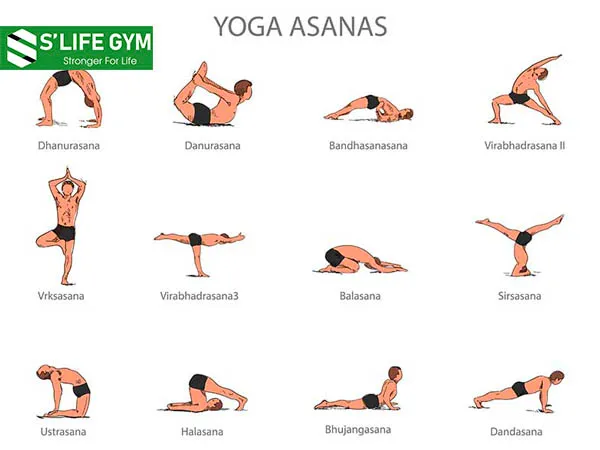 Các tư thế của Thuật ngữ YOGA ASANA
