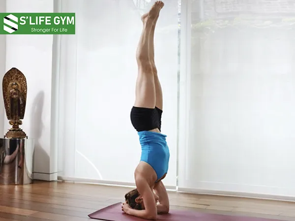 Tư thế trồng chuối là một trong những bài tập yoga chữa viêm xoang
