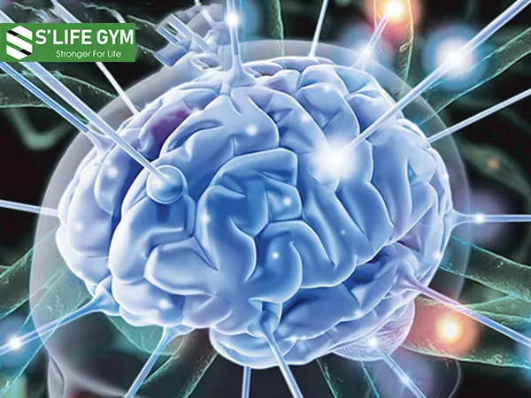 Lợi ích của ngồi thiền: Cải thiện trí nhớ