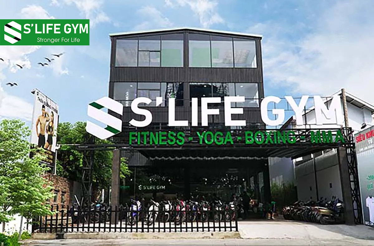 Phòng tập gym S'life với các chi nhánh trải khắp các quận, huyện tại TP.HCM sẽ giúp bạn dễ dàng lựa chọn, S’Life Gym là trung tâm tập luyện lí tưởng dành cho bạn.