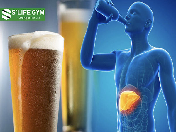 Rượu bia có thể làm phá hủy chức năng gan
