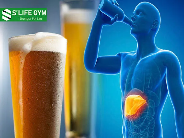 Rượu bia có thể làm phá hủy chức năng gan