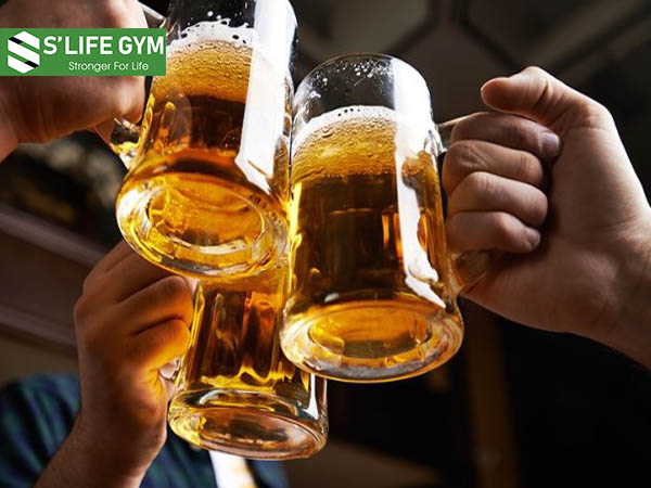 Bia rượu và sự tổng hợp glycogen