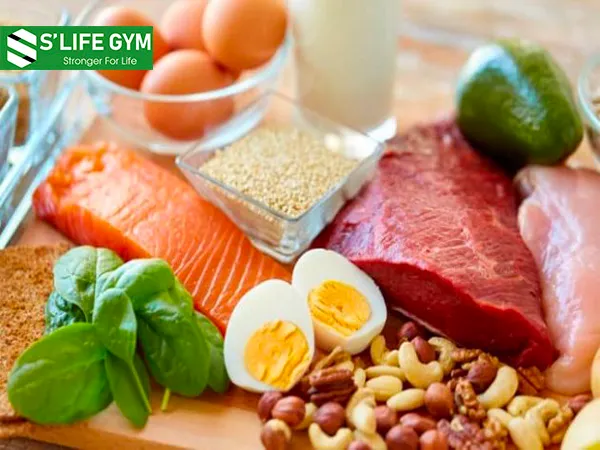 Kiểm soát tốt năng lượng nạp vào cơ thể Phụ nữ có thể bị béo bụng do thiếu protein