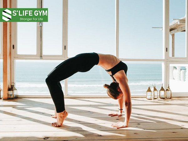 Đừng bỏ qua tư thế bánh xe khi tìm đến yoga tăng vòng 1