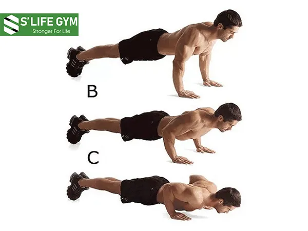 Đây là bài tập tăng cơ khá phổ biến mà hầu hết phái mạnh đều biết đến