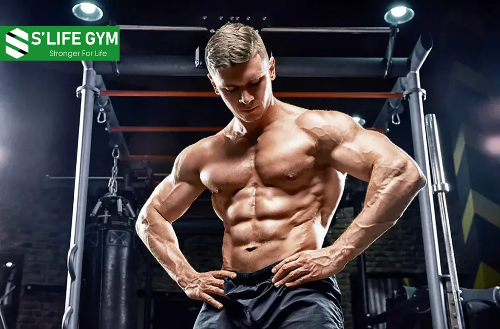 4 Bài Tập Tăng Cơ Ngực Cùng Phương Pháp Tập Luyện Hiệu Quả