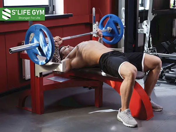 Bài tập đẩy thanh tạ trên ghế giúp tăng sức mạnh của cơ ngực